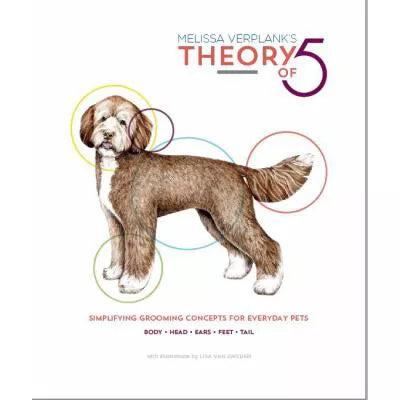 Theory Of 5
